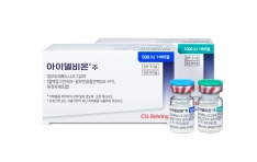 CSL�ڸ��� ���̵����  ���漺�� ���